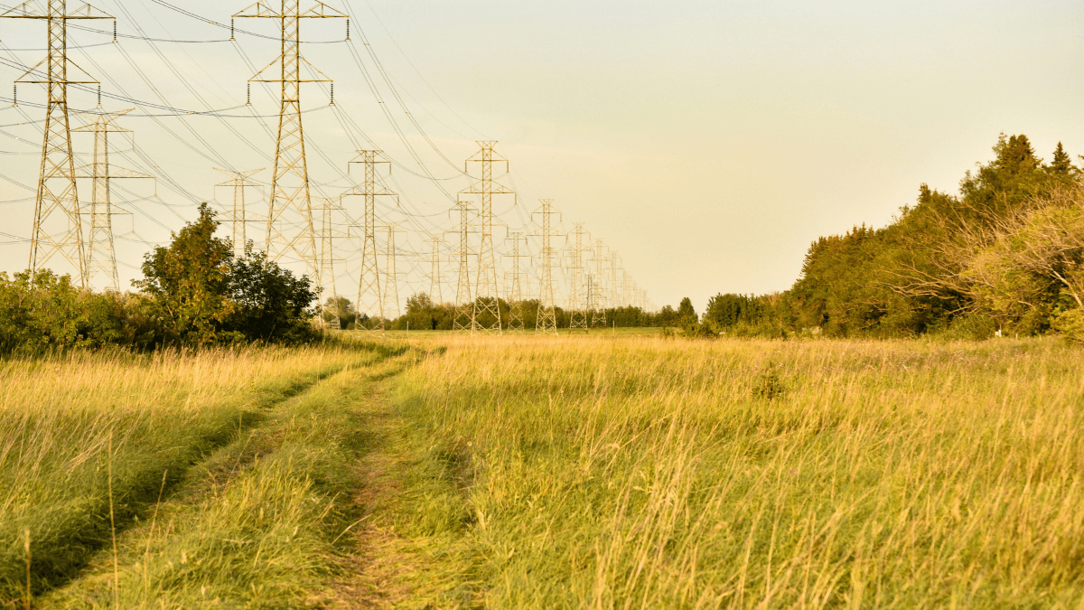 Federal Clean Electricity Regulations — Draft Framework
