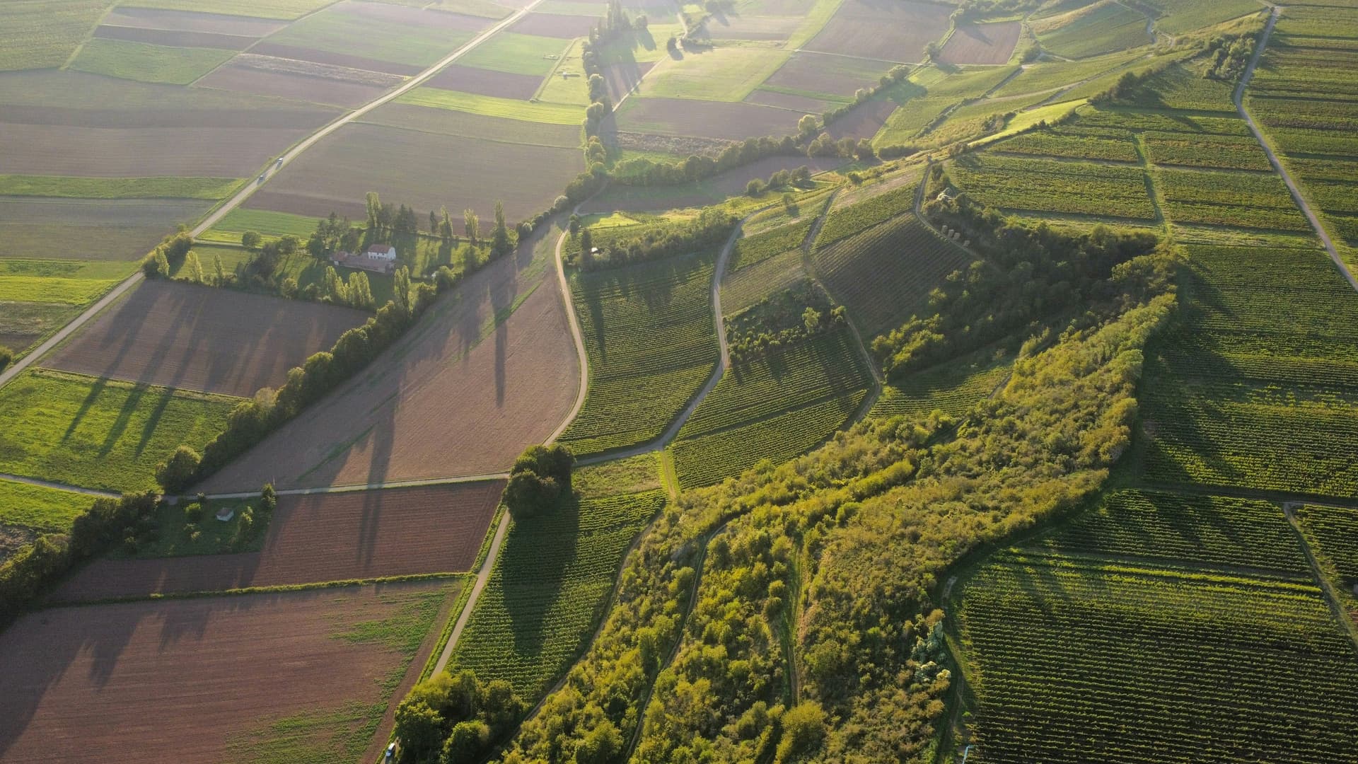 Cross-cutting sector